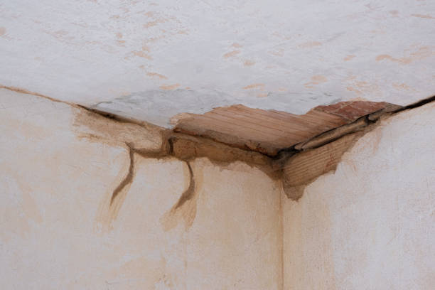 Best Fire Damage Restoration  in Rainbow Park, FL