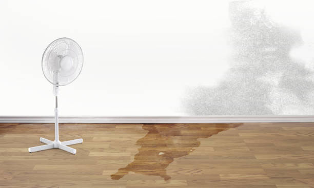 Best Residential water damage restoration  in Rainbow Park, FL