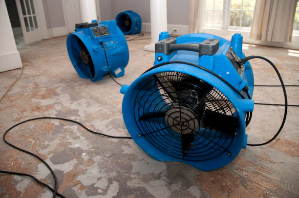Best Flood restoration services  in Rainbow Park, FL