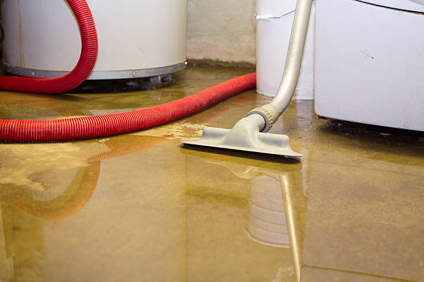 Best Basement water damage restoration  in Rainbow Park, FL