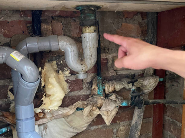 Best Basement water damage restoration  in Rainbow Park, FL