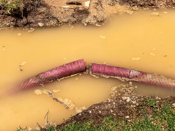 24/7 water damage repair in FL